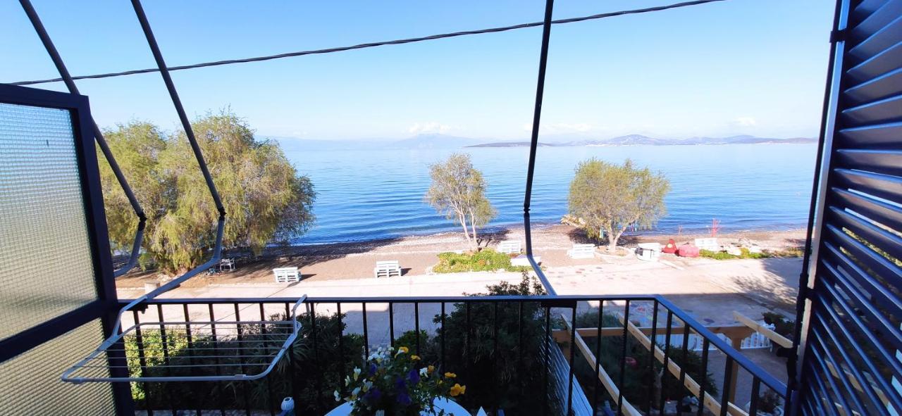 Vikos Beach Apartments Paralia Irion Dış mekan fotoğraf