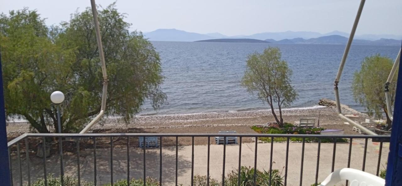 Vikos Beach Apartments Paralia Irion Dış mekan fotoğraf
