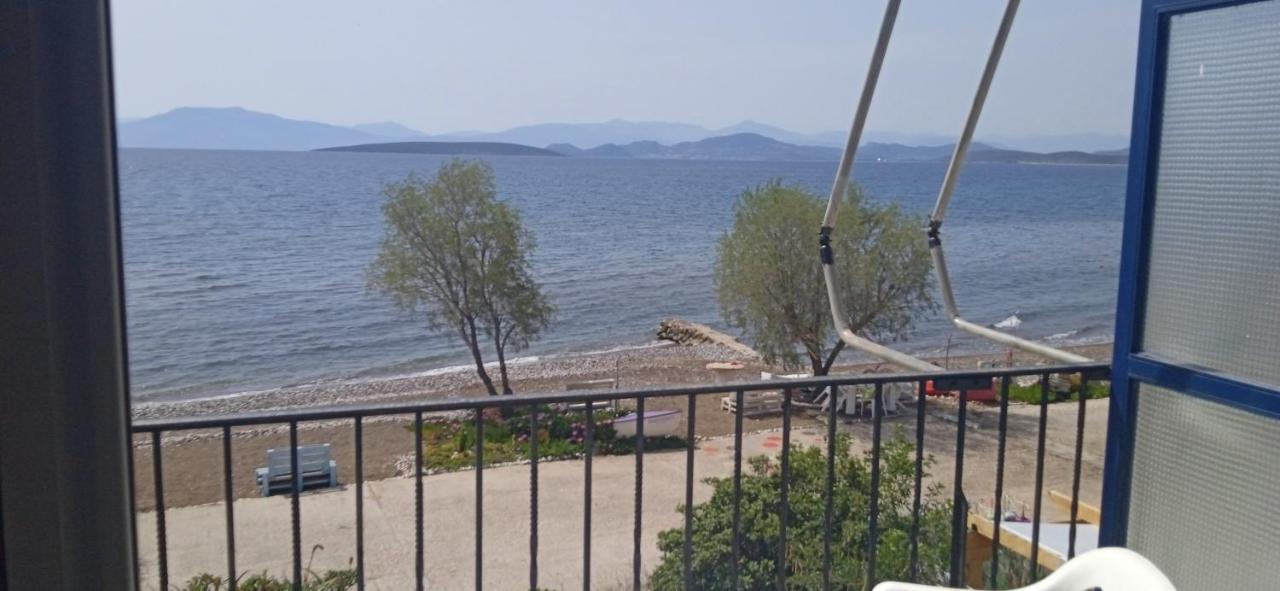 Vikos Beach Apartments Paralia Irion Dış mekan fotoğraf