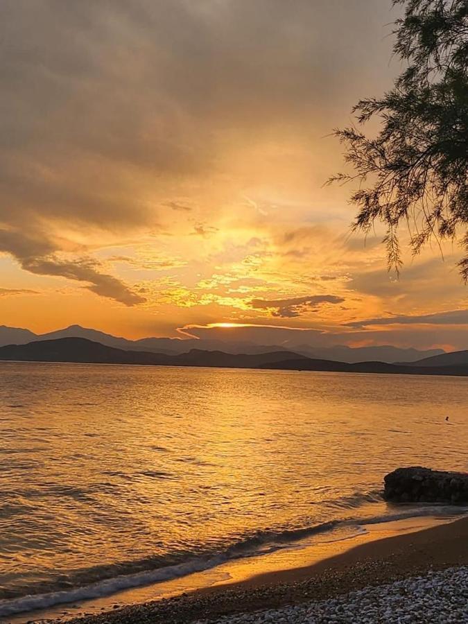 Vikos Beach Apartments Paralia Irion Dış mekan fotoğraf