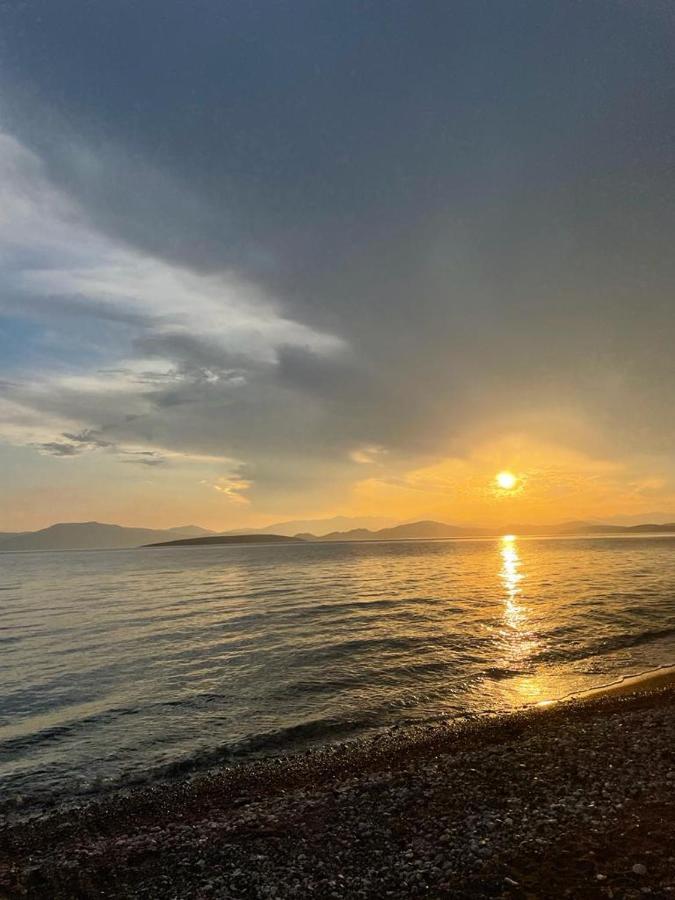 Vikos Beach Apartments Paralia Irion Dış mekan fotoğraf
